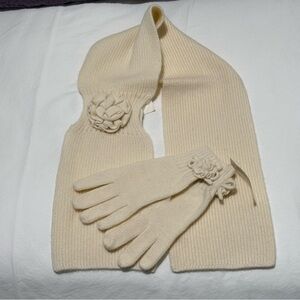 Ann Taylor Vintage Scarf🧣and Gloves